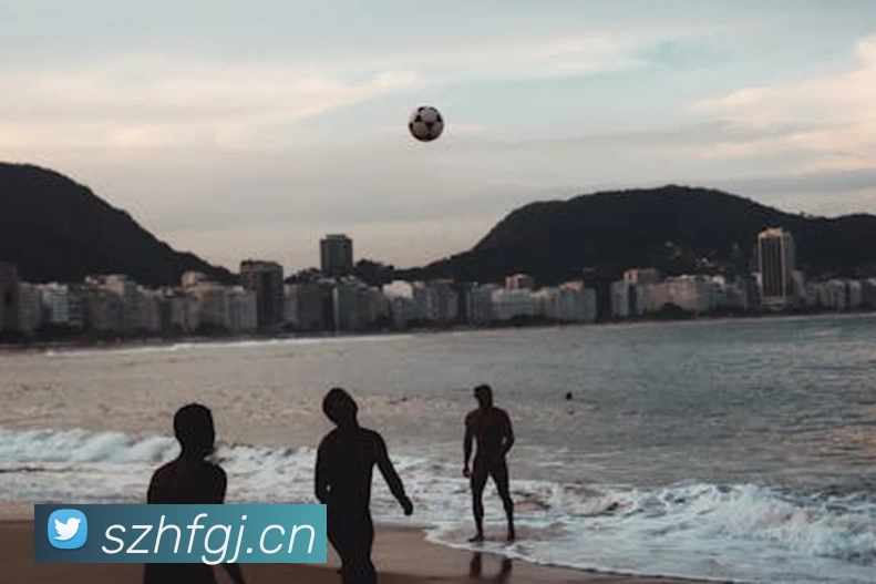 App Interface Preview